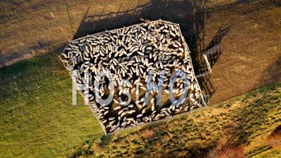 Aerial Shot Of Sheepfold In The Mountains - Video Drone Footage