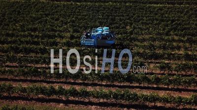 Harvest In Cadillac At Sunrise, Harvesting Machine, Video Drone Footage