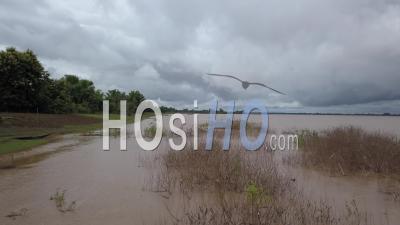 Le Fleuve Mékong à L'île Don Daeng, Vidéo Drone
