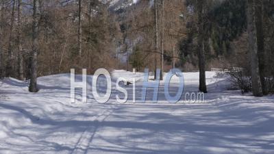 Piste De Ski De Fond Et Ruisseau Enneigé, Ancelle, Vidéo Drone