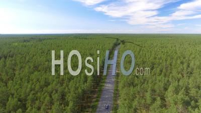 Drone Video Of A Road Cutting Througha Forest Estonia - Video Drone Footage