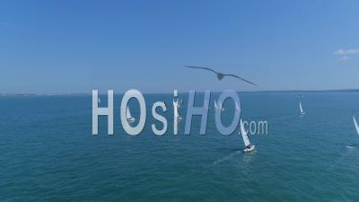 Yacht Ocean Sailing Race The Solent Uk - Vidéo Drone