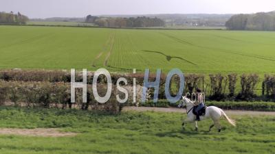 Jeune Femme équestre à Cheval Au Royaume-Uni - Vidéo Drone