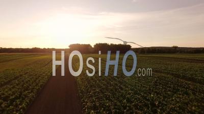 Voler Bas Sur Les Terres Agricoles Au Lever Du Soleil. New Hampshire Usa - Vidéo Drone
