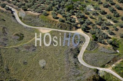 Winding Rural Road Running Through Olive Trees, Ronda, Spain. - Aerial Photography