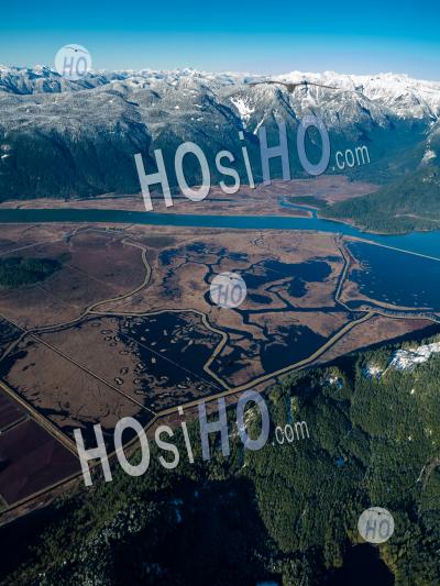 Pitt Lake And Pitt Polder Ecological Reserve - Aerial Photography