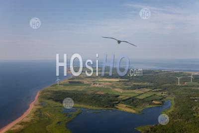 Wind Farm Electricity Generating Tignish Prince Edward Island Canada - Aerial Photography
