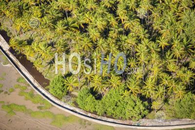 Plantation At Mahaica Helena Guyana - Aerial Photography