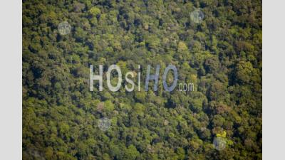 Jungle Et Amazone De La Guyane - Photographie Aérienne