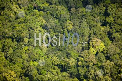 Jungle Et Amazone De La Guyane - Photographie Aérienne