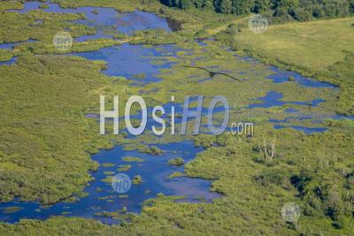 Wetlands Washington Usa - Aerial Photography