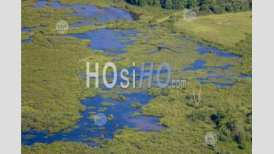 Wetlands Washington Usa - Aerial Photography