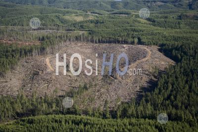 Clearcut Lumber Forests Washington Usa - Aerial Photography