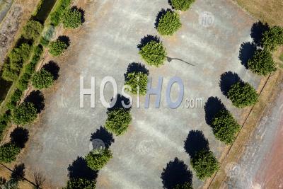 Ile D'oléron Vue Par Drone - Aerial Photography
