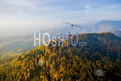 Chateau Haut Koenigsbourg, Alsace, Seen By Microlight - Aerial Photography