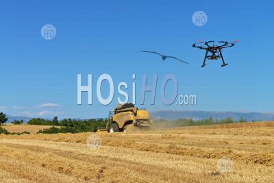 Uav And Combine Harvester In Wheat Field - Aerial Photography