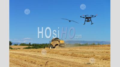 Uav And Combine Harvester In Wheat Field - Photographie Aérienne