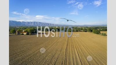 Plowed Fields In Autumn (aerial View) - Aerial Photography