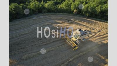 Combine In A Wheat Field - Aerial Photography
