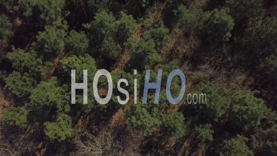 Vue Aérienne De Drone De Déforestation, Destruction De L'environnement - Vidéo Drone