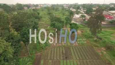 Le Jardin D'essai De Brazzaville, Vidéo Drone