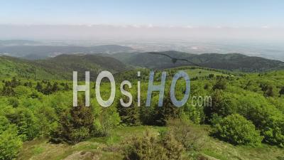 Forest Of The Hautes-Vosges, Video Drone Footage