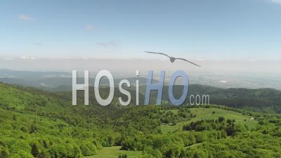 Forêt Des Hautes-Vosges, Vidéo Drone