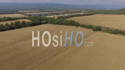 Wheat Fields In Cazan - Video Drone Footage