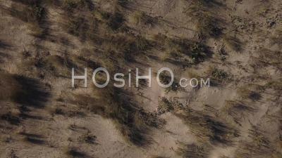 La Tremblade Plage Et Dune - Vidéo Drone