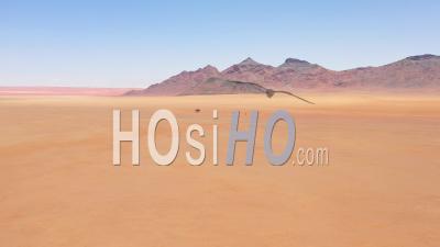 Vue Aérienne D'un Seul Arbre Solitaire Assis Au Milieu Du Désert Du Namib, Namibie - Vidéo Drone