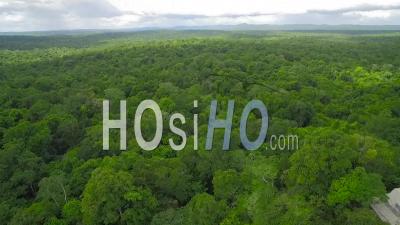 Spectacular Aerial View Over The Treetops And Tikal Pyramids In Guatemala - Video Drone Footage
