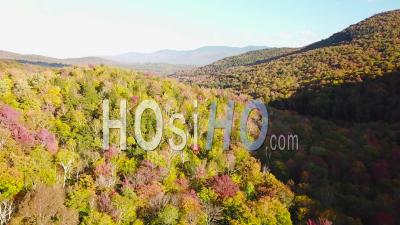 Aerial View Over Vast Forests Of Fall Foliage And Color In Vermont Or New England - Video Drone Footage