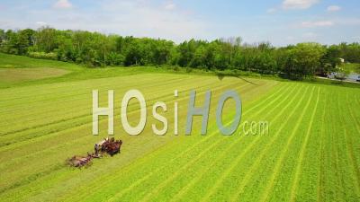 Vue Aérienne Des Agriculteurs Amish Labourant Leurs Champs Avec Cheval Et Charrue - Vidéo Drone