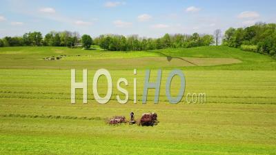 Vue Aérienne Des Agriculteurs Amish Labourant Leurs Champs Avec Cheval Et Charrue - Vidéo Drone