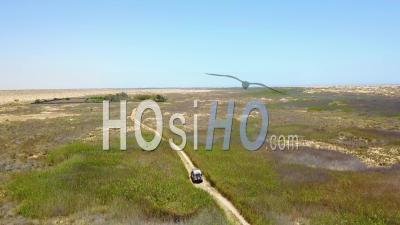 Aerial View Of A 4wd Jeep Vehicle Driving Through A Grassy Or Marsh Area On Safari In Namibia, Africa - Video Drone Footage
