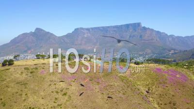 Vue Aérienne Sur Le Parapente Et Les Parapentistes Avec Table Mountain Cape Town, Afrique Du Sud, En Arrière-Plan.