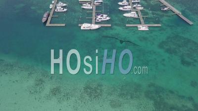 Aerial View Over Pleasure Boats And Yachts In The Harbor At Boca Chica, Dominican Republic - Video Drone Footage