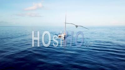 Aerial View Of A Sailboat Sailing Across The Caribbean Ocean Sea Near The Island Of St. Lucia - Video Drone Footage