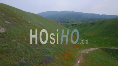 A Woman Walks Through Vast Wildflower Fields On A California Hillside - Video Drone Footage