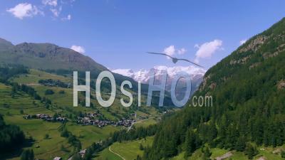 View Of Monte Rosa In The Italian Alps Through Pine Trees - Video Drone Footage