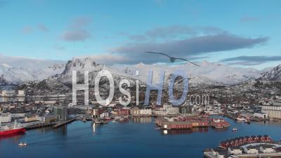 Svolvaer Harbour With Fishing In The Bay - Video Drone Footage