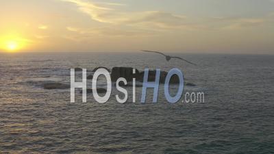 Coucher De Soleil Et Rochers Dans L'océan Avec Des Oiseaux -Vidéo Drone