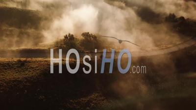 Aerial View Of A Car Traveling On A Foggy Road Through The Countryside At Dawn Or Sunset - Video Drone Footage