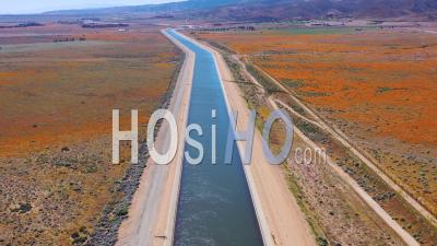 Vue Aérienne De L'aqueduc De Californie Entouré De Champs De Fleurs Sauvages Et De Fleurs De Pavot, Désert De Mojave - Vidéo Drone