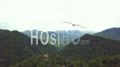 Aerial View Over The Rainforest And Jungle Of Honduras Central America - Video Drone Footage