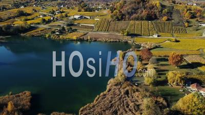 Lake With Autumn Vines, Video Drone Footage