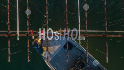 Etang De Thau Ostreiculture - Drone Point Of View - Photographie Aérienne