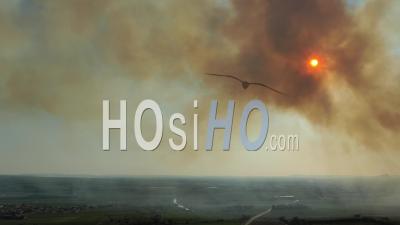 Immense Incendie De Forêt Dans Le Sud De La France - Vidéo Drone