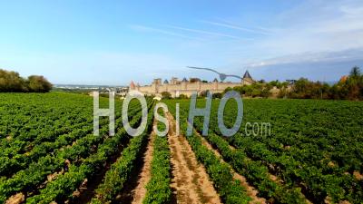 Carcassonne Medieval Castle And Surroundings Vineyard, Video Drone Footage