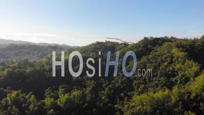 Vue Aérienne Sur La Forêt Tropicale Luxuriante Sur La Montagne, Philippines - Vidéo Drone